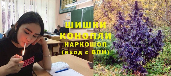 молекула духа Семилуки
