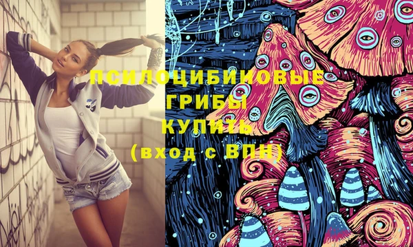молекула духа Семилуки